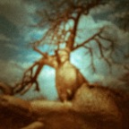 african tree 2, 2013